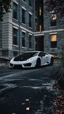 TOP TEMPLATE || CAR