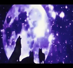 alpha emo wolf power