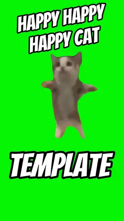 Happy Cat 