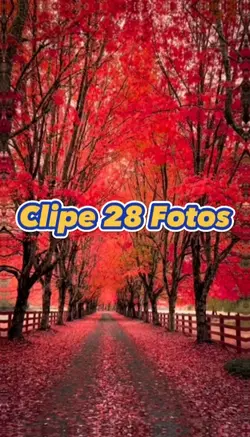 Natureza 