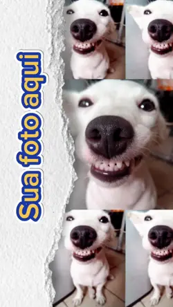 Meu momento feliz 