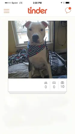 tinder