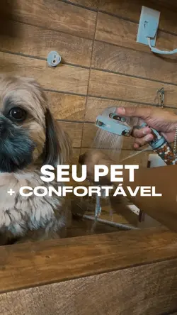 Pet shop