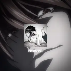 light yagami type sh