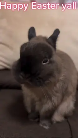 Happy Easter