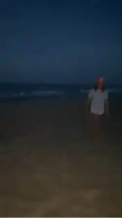 Handspring 