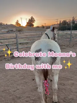 Happy Birthday 🥳