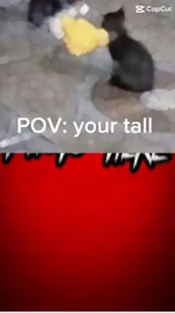 I’m only 5”8😭