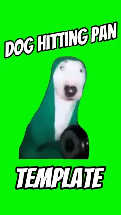 Dog Hitting Pan