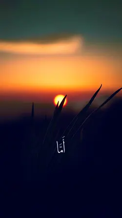 Surah Sajda 