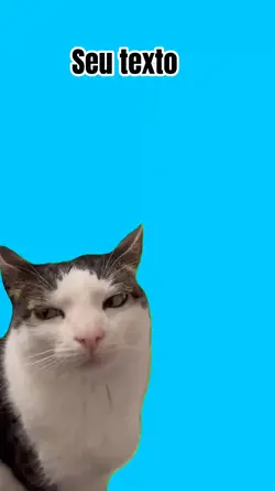 meme gatinho 