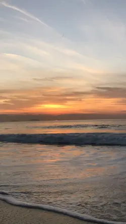 Ocean vibes