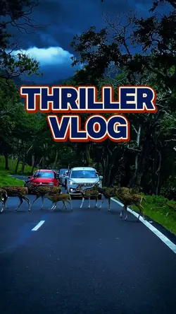 Trailer teaser