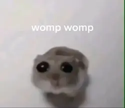 Sad hamster trend