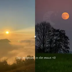 Sun proposed to moon
