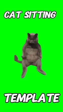Cat sitting meme 