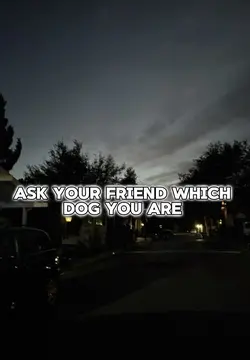 Which one are you?