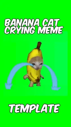 Banana cat crying 
