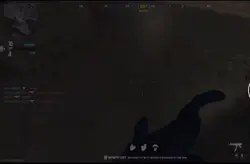 PS4 movement