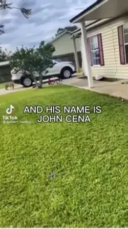 John cena