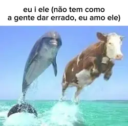 amo ele