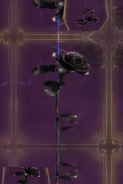Black Rose 
Any pic