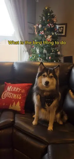 Waiting for Santa