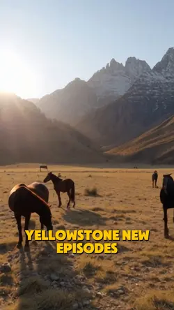 Yellowstone Dutton