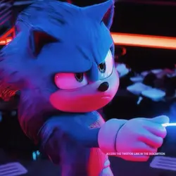 Sonic fr
