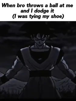 Ultra instinct w/Bro