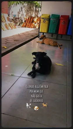 Quando alguém fala q