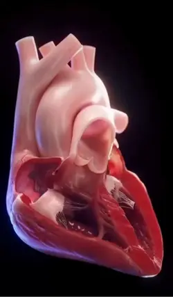 Coraçāo 3d ❤️