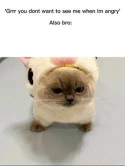 Potentially stolen