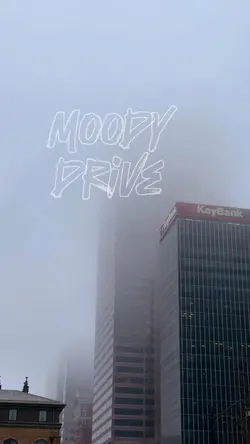 Foggy Photo Drive