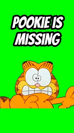 Pookie is missing