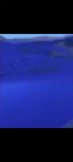 shark meme