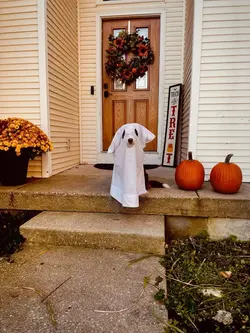 Happy fall!!🍂🤎🎃