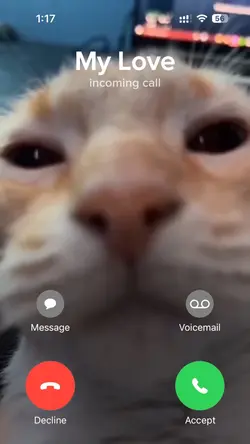 Incoming call