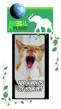 Animal Planet