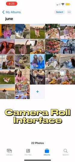 Cameraroll dump