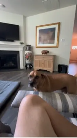 Spike