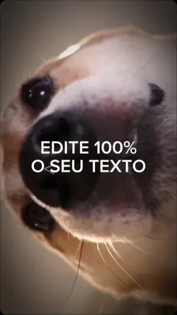 Cachorrinho web