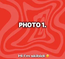 Skibidi gang ☺️