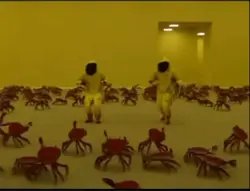 Backrooms Party