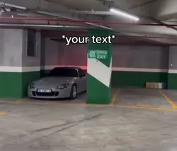 Parking skills 