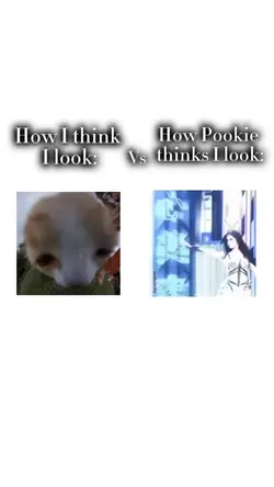 Kinda a repost