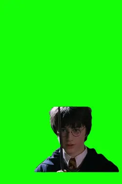 Harry Potter