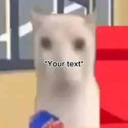 Cat meme 