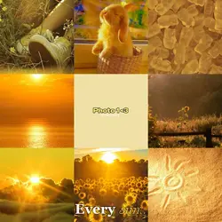 every sun needs..