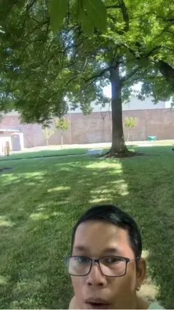 Under the trees 